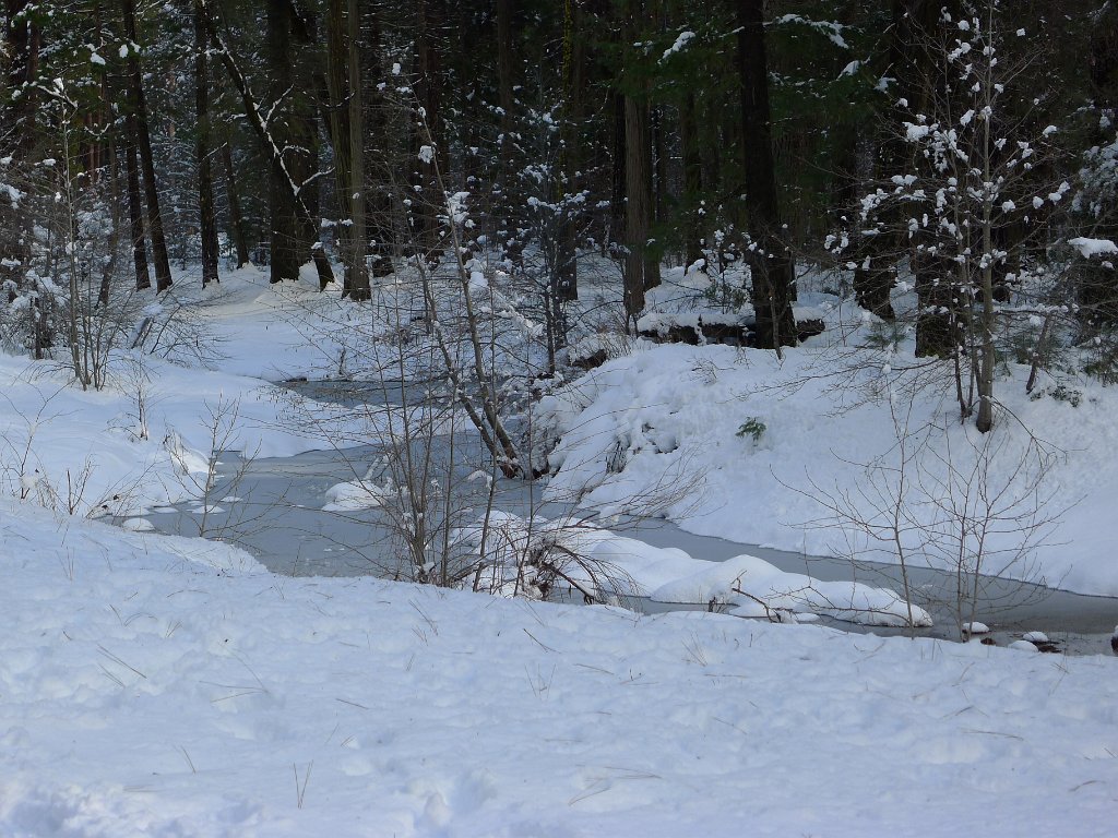 20110220-21_Yosemite 012.JPG